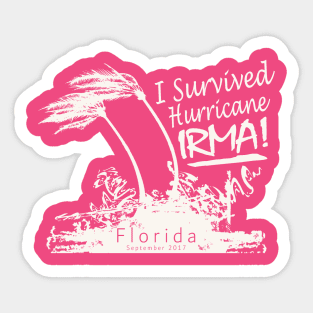 Hurricane Irma Survivor Sticker